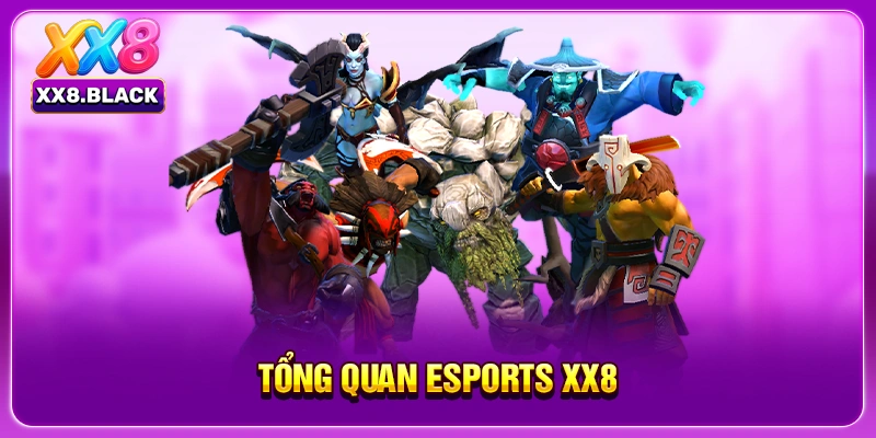 Tổng quan Esports XX8